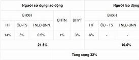 Bảo Hiểm Doanh Nghiệp Phải Đóng